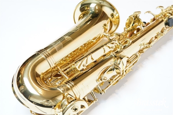 Alto Saxophone Standard Series GL 入門セット【送料無料】
