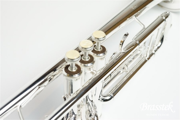 B♭Trumpet TR400SP【お取り寄せ商品】