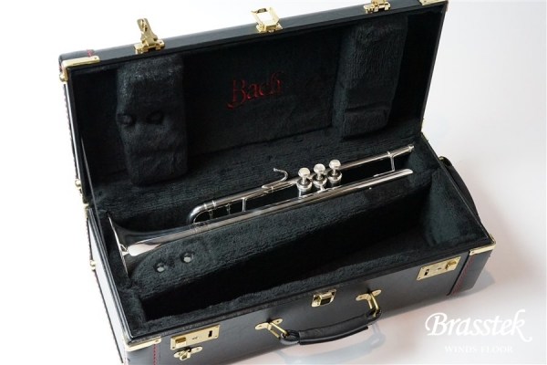 B♭Trumpet 180ML37SP