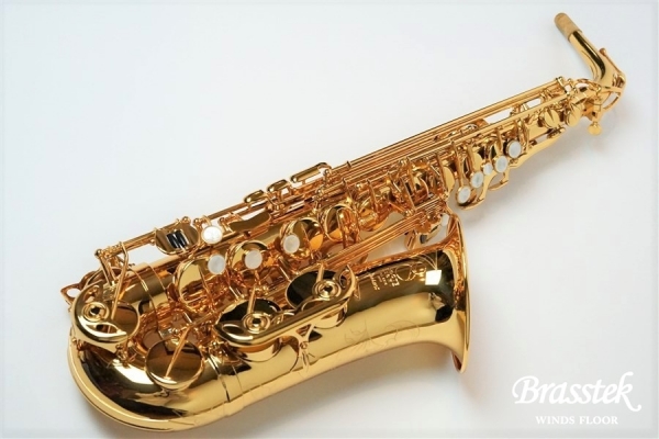 Alto Saxophone  Anchert ”Sunny”