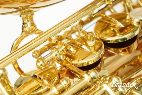 Alto Sax A-WO2
