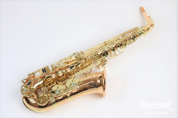 Alto Saxophone  A-WO2 【入門セット】