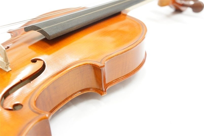 Violin No.20AJ set 4/4 [お取り寄せ商品]