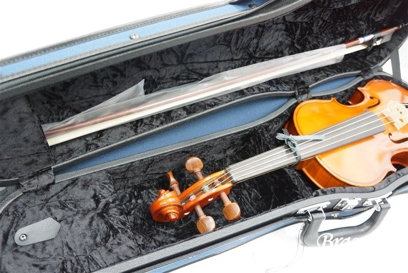 Violin No.20AJ set 4/4 [お取り寄せ商品]