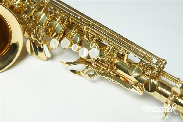 Alto Saxophone _ Anchert ”Sunny”