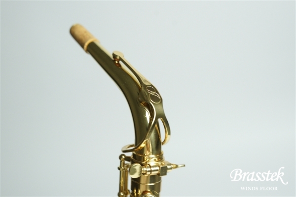 Alto Saxophone _ Anchert ”Sunny”
