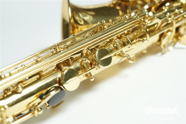 Alto Saxophone _ Anchert ”Sunny”