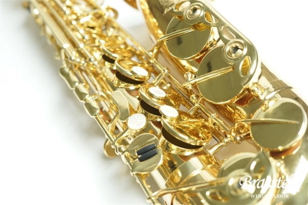 Alto Saxophone _ Anchert ”Sunny”