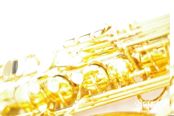 Alto Saxophone A - WO 1    Yellow Brass Body