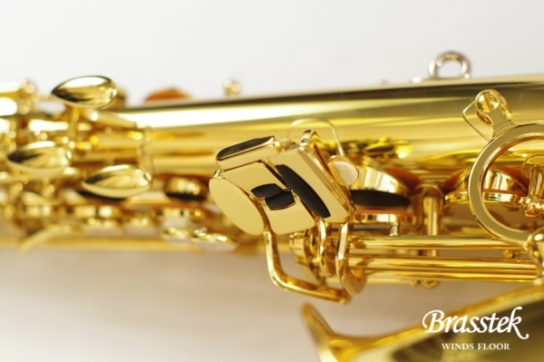 Alto Saxophone A - WO 1    Yellow Brass Body