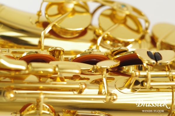 Alto Saxophone A - WO 1    Yellow Brass Body