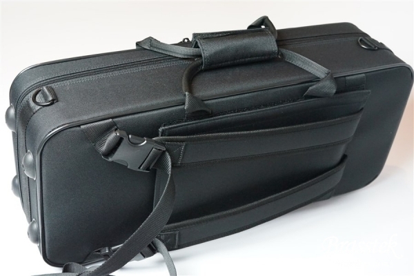 Alto Saxophone  Anchert ”Sunny”