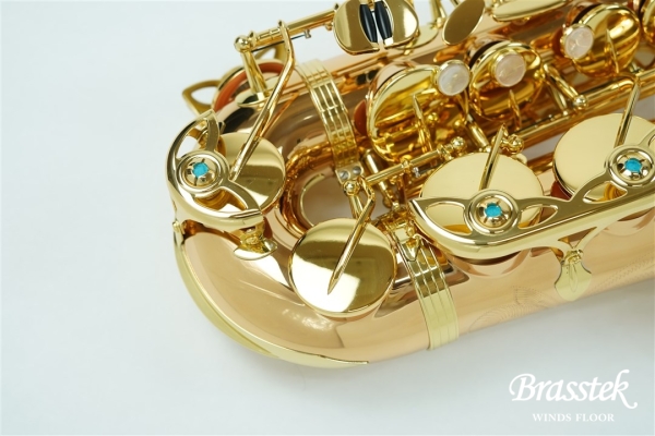 Alto Saxophone A - WO 2 