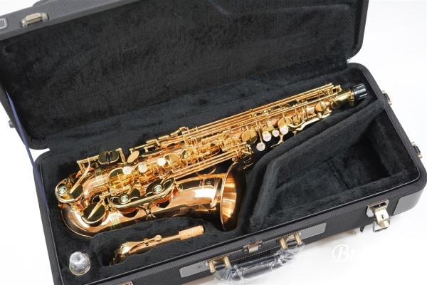 Alto Saxophone A - WO 2 