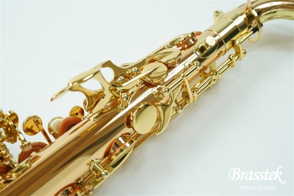 Alto Saxophone A - WO 2 【入門セット】