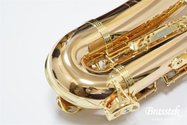 Tenor Saxophone  T-WO2