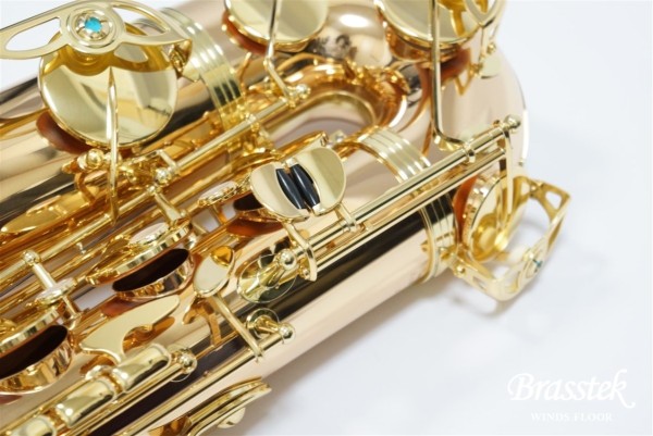 Tenor Saxophone  T-WO2