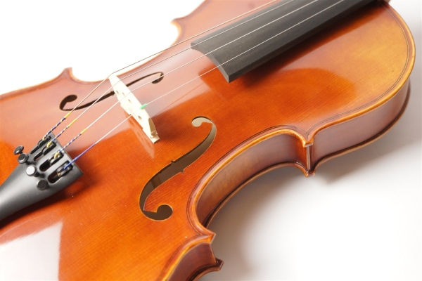 Violin V7SG 4/4