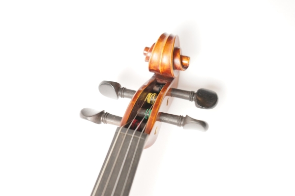 Violin V7SG 4/4