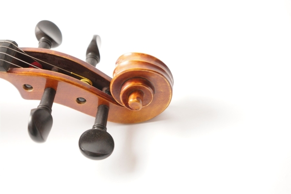 Violin V7SG 4/4