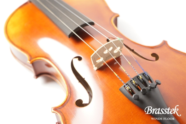 Violin V7SG 4/4