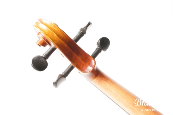 Violin V7SG 4/4