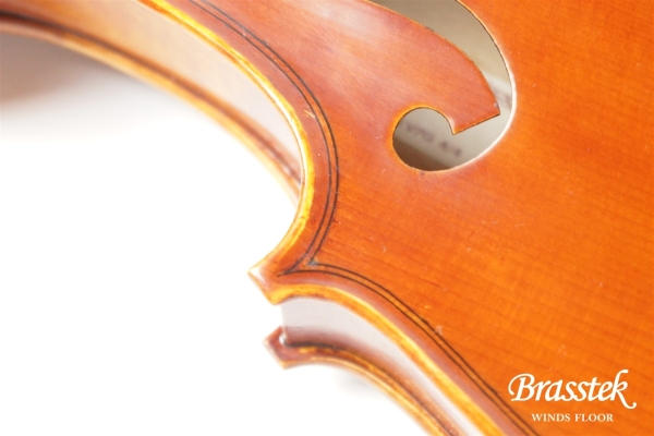 Violin V7SG 4/4
