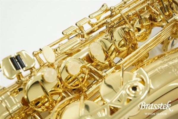 Alto Saxophone BC8101
