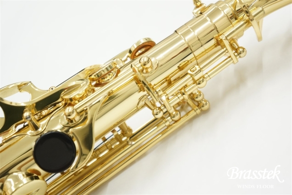 Alto Saxophone BC8101