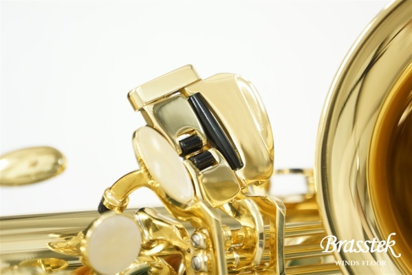 Alto Saxophone BC8101