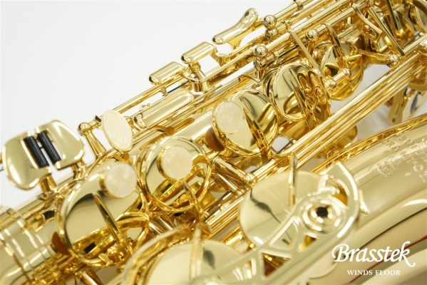 Alto Saxophone BC8101