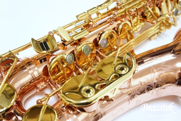 Alto Saxophone Senzo BC2525-7B-0J