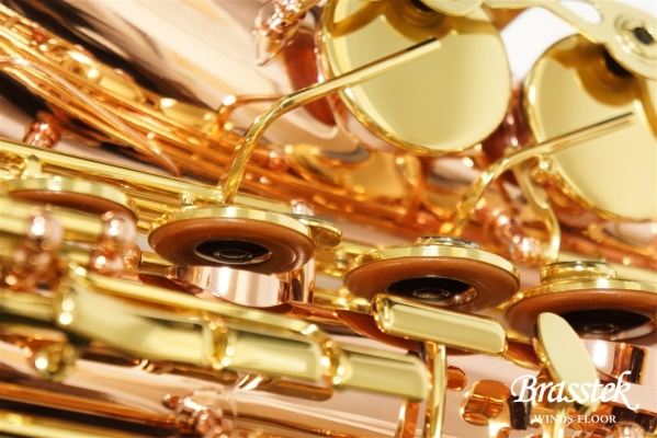 Alto Saxophone Senzo BC2525-7B-0J