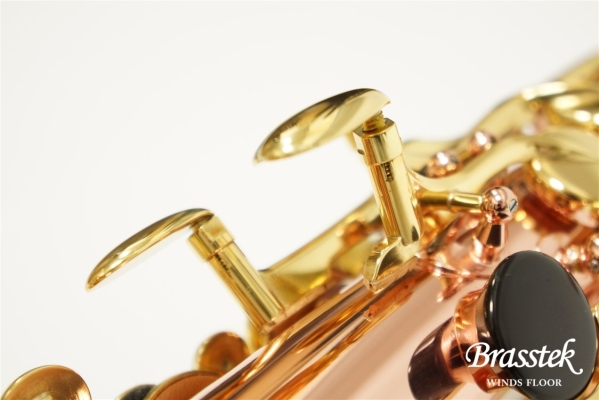 Alto Saxophone Senzo BC2525-7B-0J
