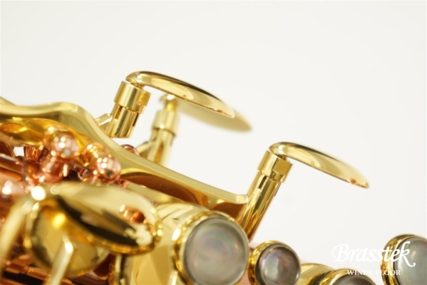 Alto Saxophone Senzo BC2525-7B-0J