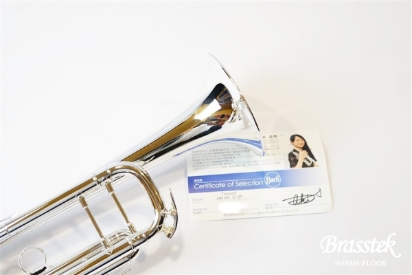 B♭Trumpet 180ML37SP 松木 亜希氏選定品
