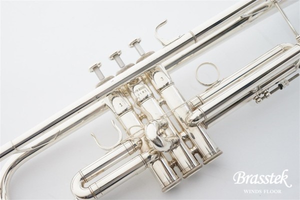 YTR-800GS B♭Trumpet / B♭トランペット