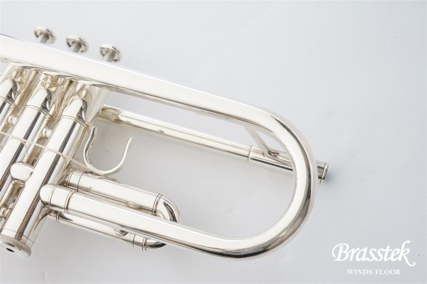 YTR-800GS B♭Trumpet / B♭トランペット