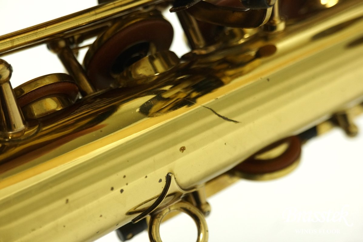 Alto Saxophone S1