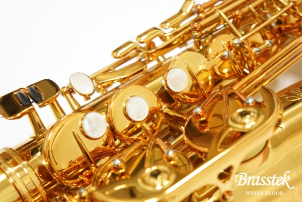 Alto Saxophone PRO ONE