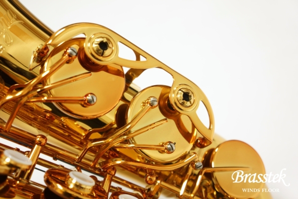 Alto Saxophone PRO ONE