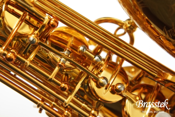 Alto Saxophone PRO ONE