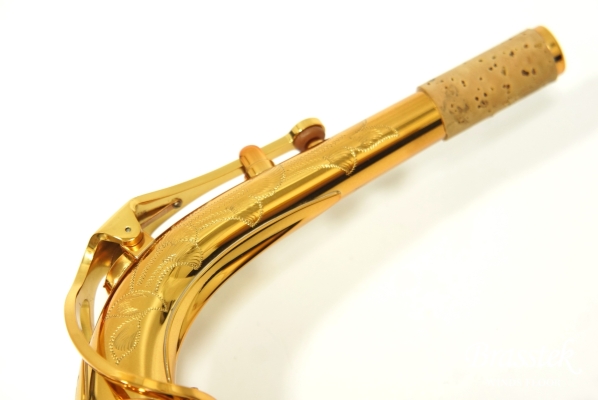 Alto Saxophone PRO ONE