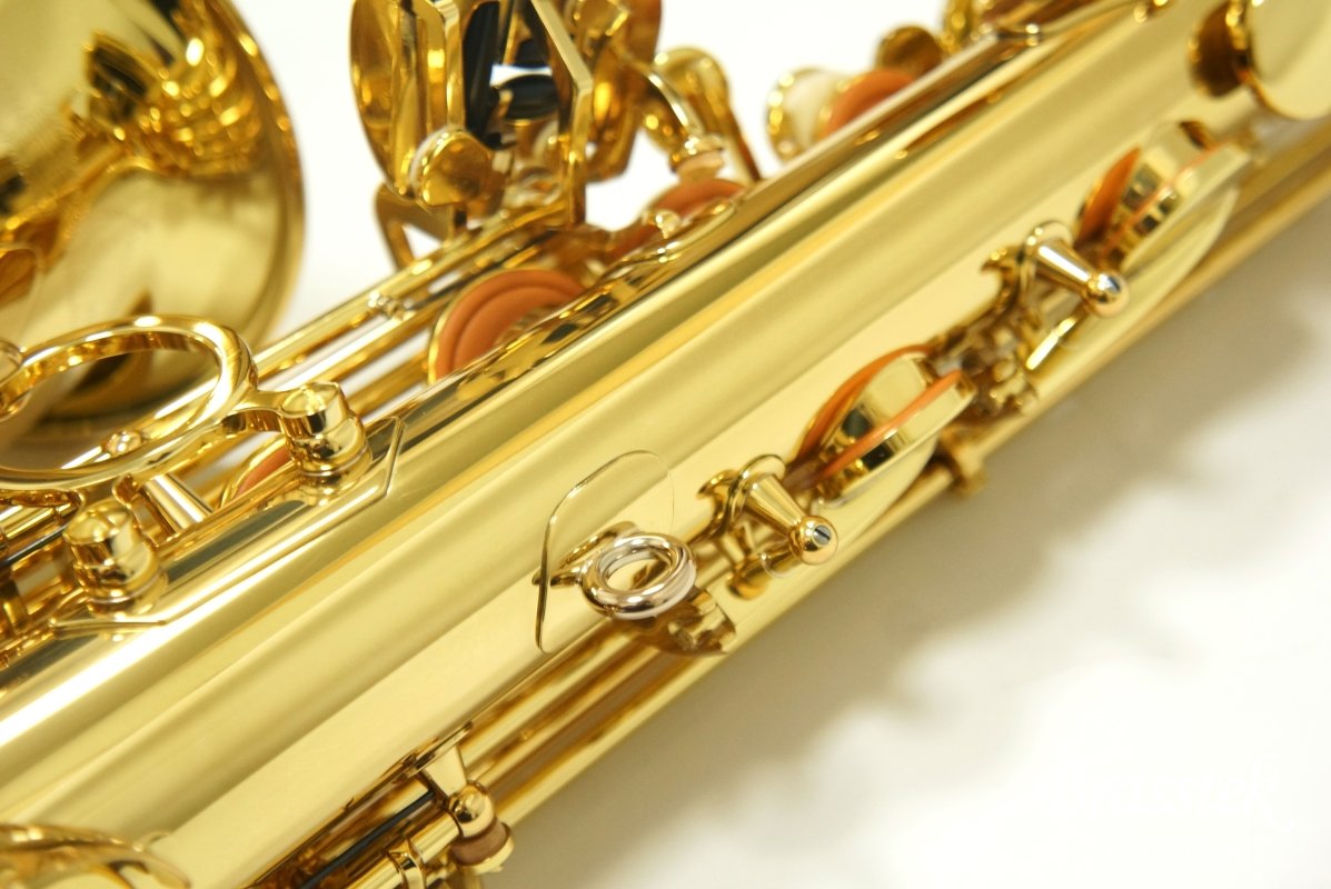 Alto Saxophone  A-WO1