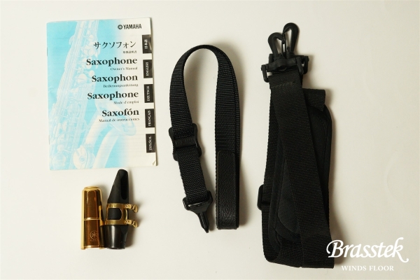 Alto Saxophone YAS-875