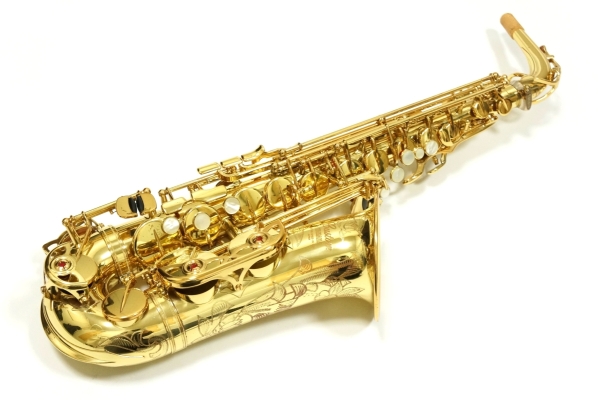 Alto Saxophone YAS-875