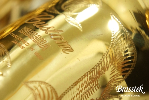 Alto Saxophone YAS-875