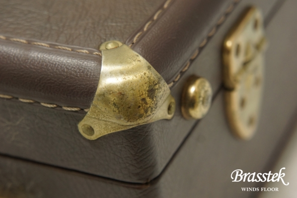 Alto Saxophone YAS-875