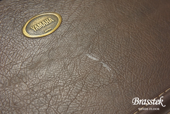 Alto Saxophone YAS-875