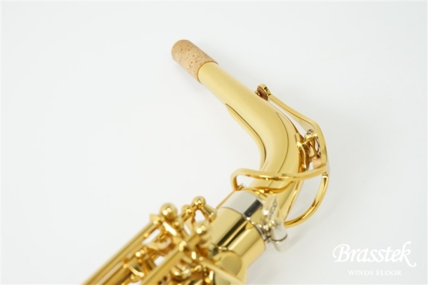 Alto Saxophone Signature 